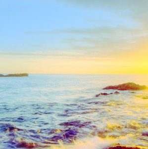 Meet your Posher, Elyssa